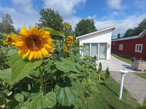 Attefallshus säng 160 bäddsoffa 160